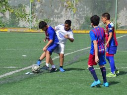 MIS Sports